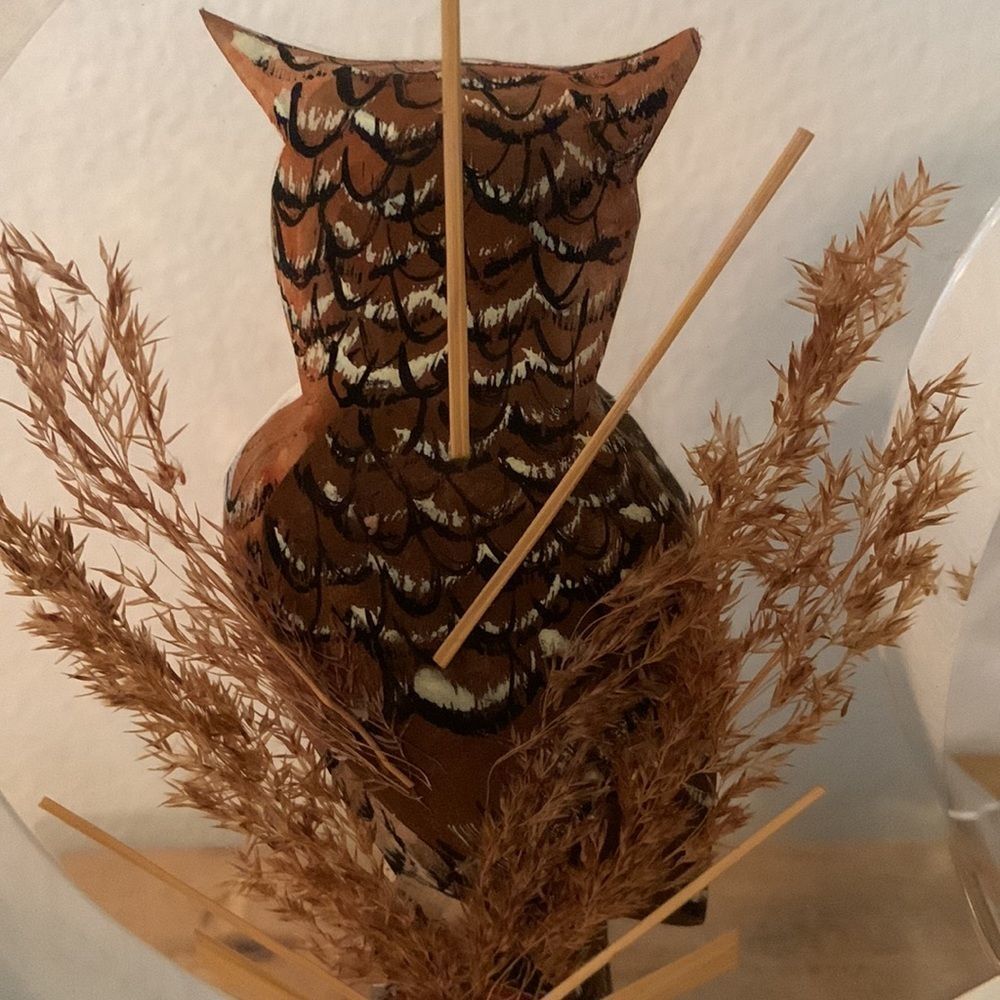 Vintage Mid-Century Hand Carved Wooden Owl Encased in Lucite Shaped Moon - Picture 4 of 8